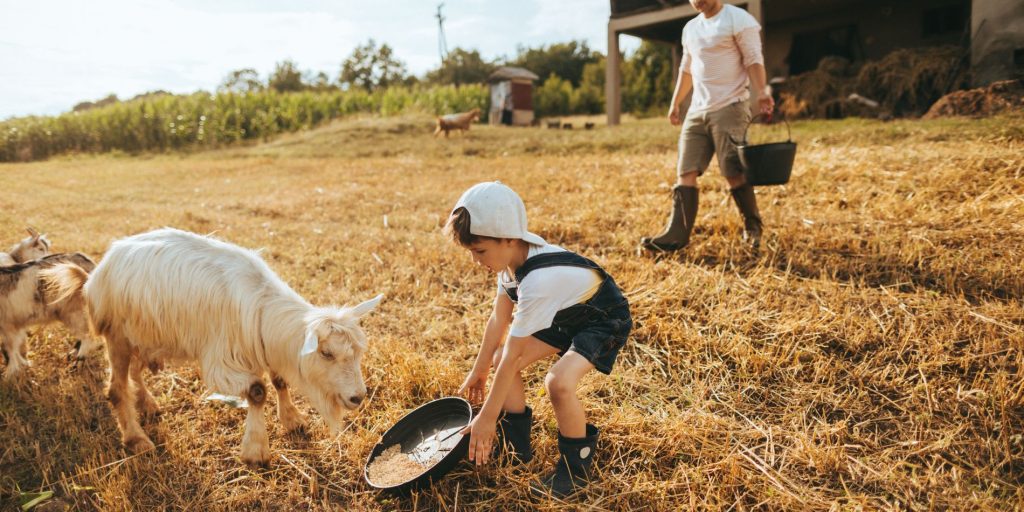 ferme pedagogique Liart