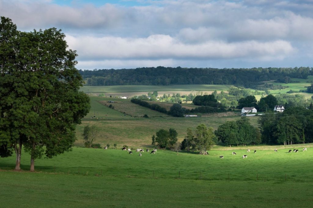 airbnb dans les ardennes france