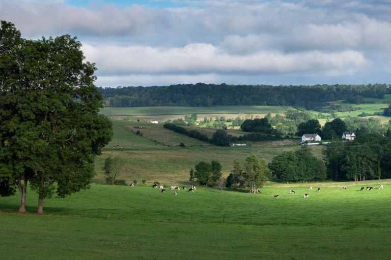 airbnb dans les ardennes france